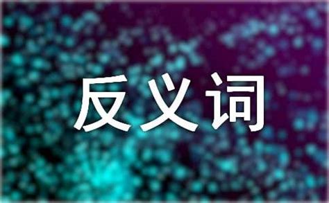 探索“胆怯至勇敢、凝结与融化、期望与失望、称赞与批评”的词汇之旅 1