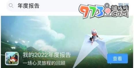 2023年QQ年度报告查看指南 4