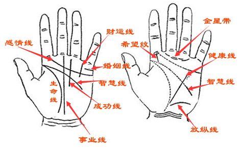 揭秘手相奥秘：一文学会看手相技巧 4