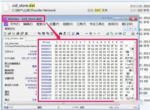 如何查看电脑中的DAT类型文件？ 2