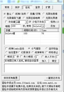 轻松学会：冒险岛伴侣高效挂机技巧 2