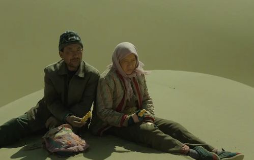 《隐入烟尘：一段尘封岁月的电影记忆》 1
