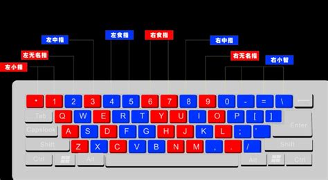 五笔打字速成秘籍：轻松掌握高效打字技巧 2