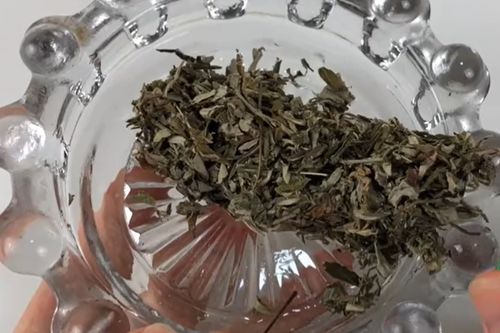 如何正确用艾条熏房间，提升家居环境 3