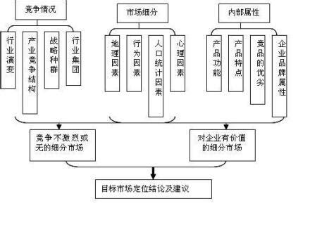 目标市场定义与解析 4