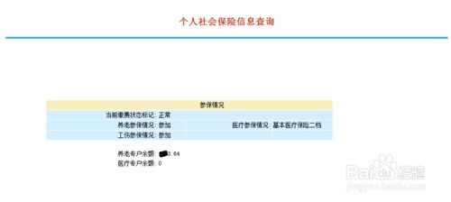 深圳社保查询全攻略 4