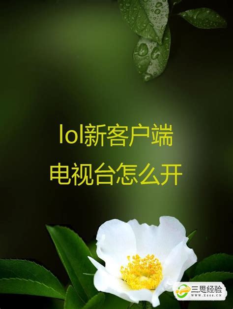 LOL新版客户端：一键解锁电视台的绝妙技巧 2