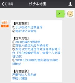 如何快速查询长沙车辆违章信息 3