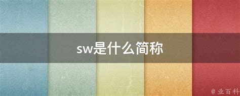 揭秘“SW”的真正含义！ 2