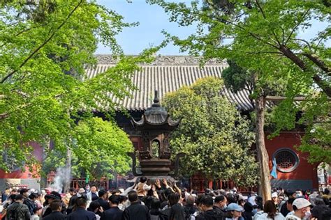 白马寺门票预约流程及方法 4