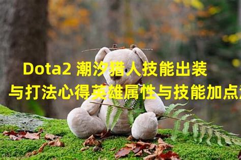 DOTA中潮汐猎人的技能该如何解析？ 5