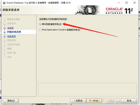 Oracle 11g服务器安装详细图文教程 2