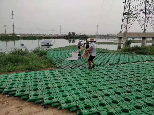 创新生态奇迹：揭秘人工浮岛技术，打造水上绿色新领地 2