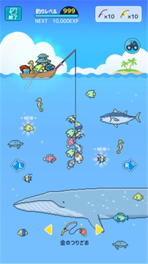 小型水族馆 1