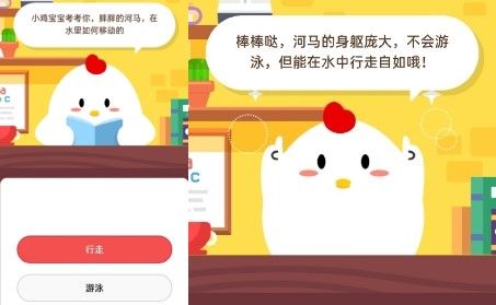 小鸡宝宝考考你：古代披肩的别称是什么？ 4