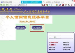 轻松掌握！网上查询个人信用记录（征信报告）全攻略 2