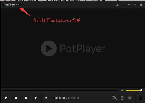 如何在PotPlayer中打开视频文件 1