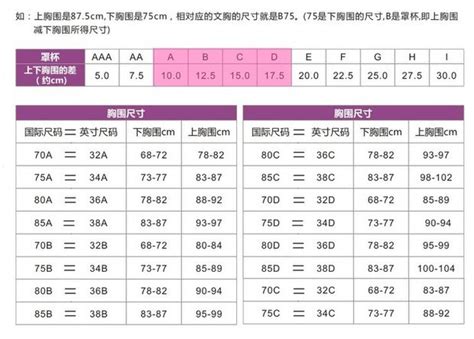 36码胸罩的尺寸解析 4