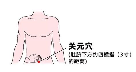 揭秘关元穴位精准位置图及其神奇功效 2