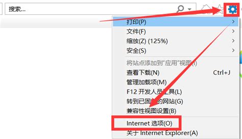 轻松解决“Internet Explorer已停止工作”的问题 4