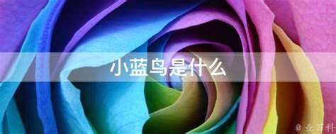 小蓝鸟与Emo空间：网络流行语的秘密花园 2