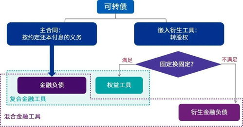 揭秘：权益工具究竟包含哪些内容？ 2