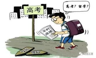 高中生如何顺利踏上留学之旅 3