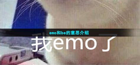 小蓝鸟与Emo空间：网络流行语的秘密花园 3