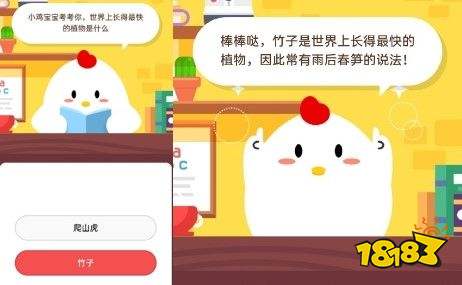 揭秘！蚂蚁庄园2月20日问题：耙耙柑中的“耙耙”究竟指啥水果特性？ 4