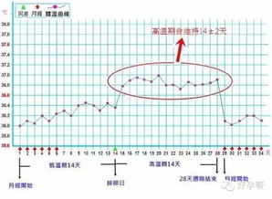 如何解读7种基础体温曲线图？ 4