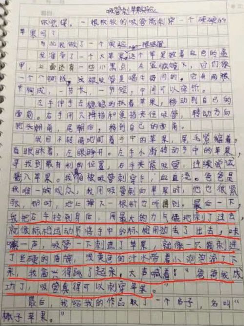 三年级如何撰写关于‘什么向什么向什么向什么’的作文 1