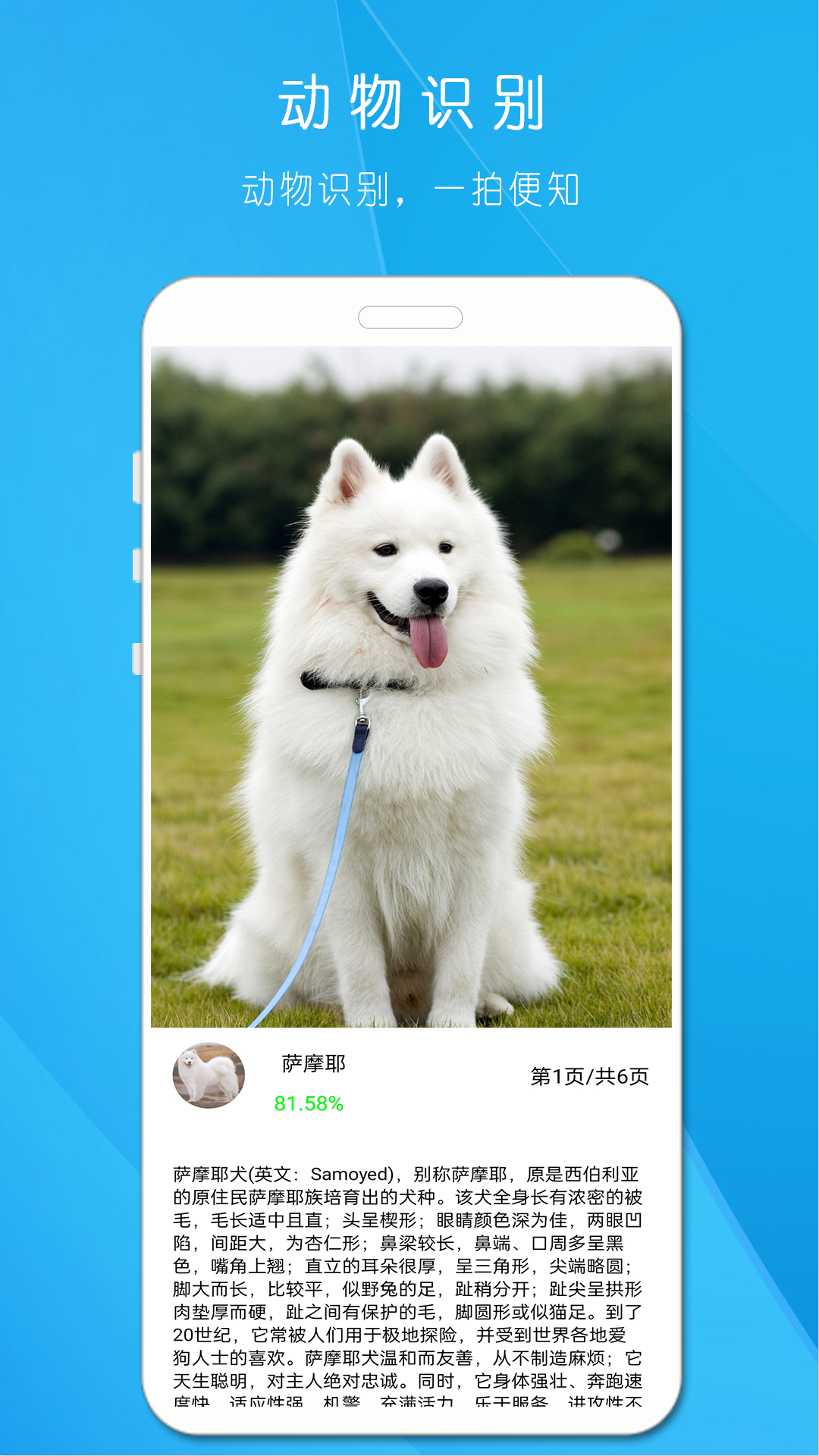 拍照识万物 截图2
