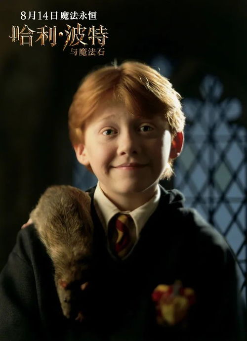 HP7揭秘：哈利、德拉科、罗恩孩子的名字大公开！ 1