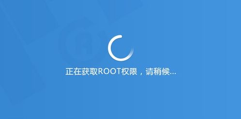 揭秘：ROOt的真正含义是什么？ 4