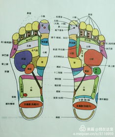 通过脚底穴位按摩实现减肥的方法 3