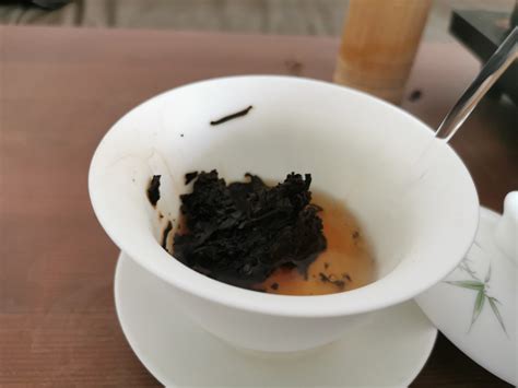 解锁普洱茶的完美泡法：标准品鉴指南 3