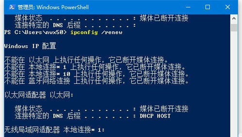 Win10用户必看：简单命令教你释放并重新获取IP 2