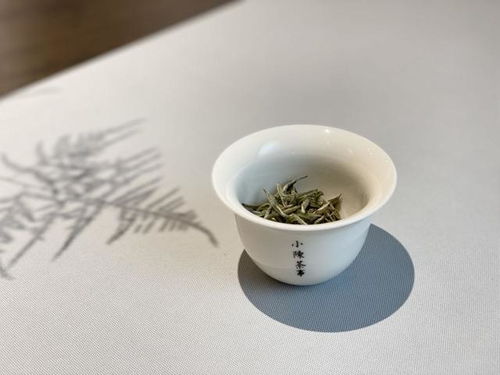 解锁铁观音冲泡秘籍，茶友亲授完美品鉴之道 2