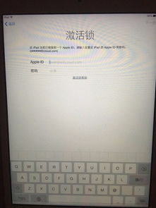 设置iPad儿童锁的方法指南 3