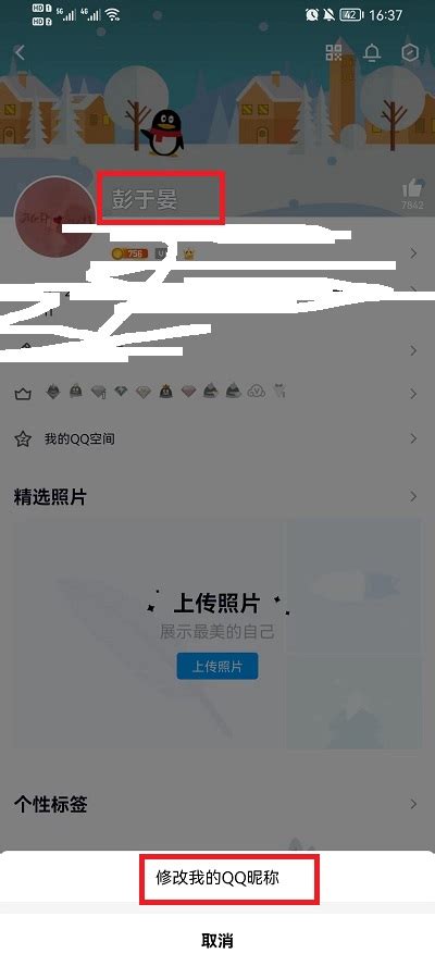 如何更改QQ昵称 4