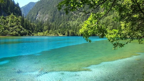 上海至九寨沟绝美旅行攻略，不容错过的精彩指南！ 2
