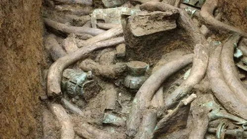 三星堆遗址重大突破：发掘超120根象牙，考古专家面临新挑战 1