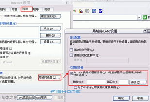 如何配置IE浏览器的代理设置 2