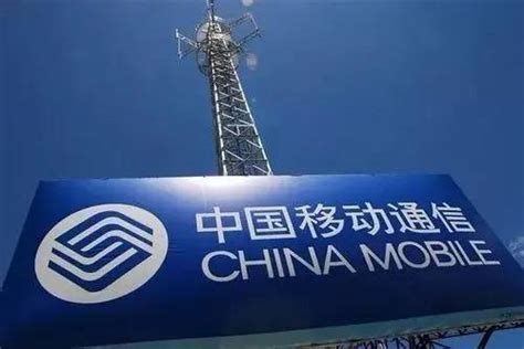 揭秘！10088号码背后的真相是什么？ 3