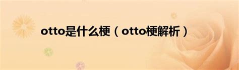 揭秘：Otto到底是什么？ 2