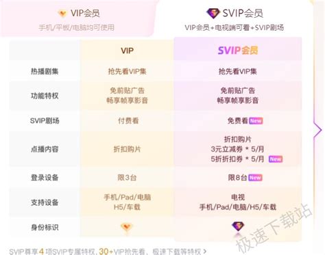揭秘SVIP：全面了解这一尊贵身份！ 4