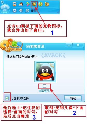 QQ宠物正确安装指南 1