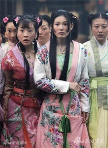 杨门女将及杨门女将之军令如山演员表是谁？ 1
