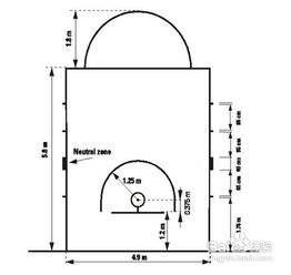国际标准篮球场尺寸及布局示意图 2