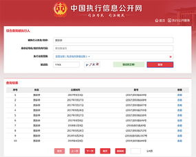 揭秘！如何在中国执行信息公开网高效查询被执行人信息 1